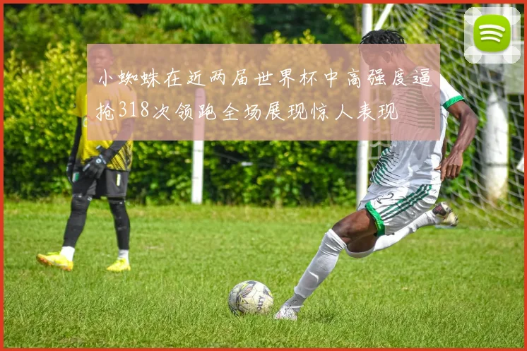 小蜘蛛在近两届世界杯中高强度逼抢318次领跑全场展现惊人表现